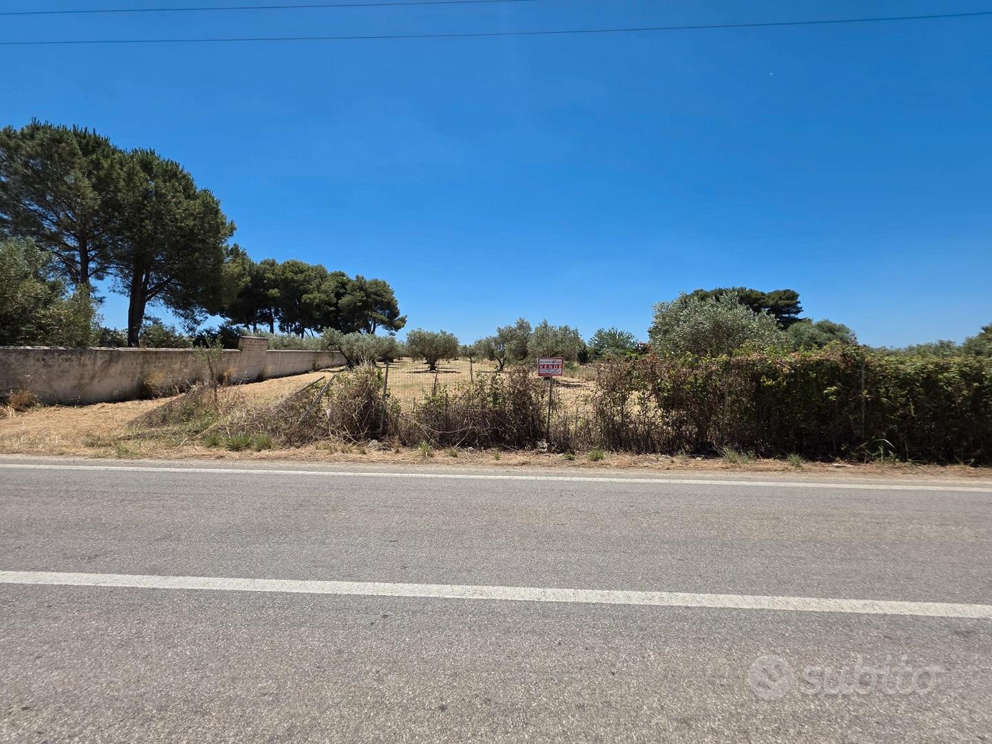 Castelvetrano terreno 3600 mq con progetto - Vista 4
