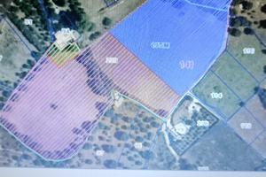 Terreno agricolo edificabile Ostuni