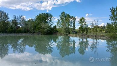 Terreno con lago