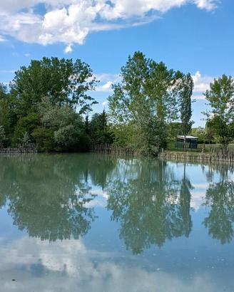 Terreno con lago