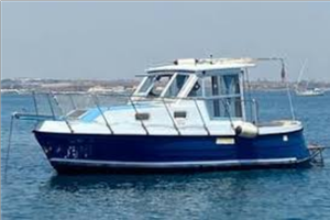 Gozzo da motorizzare