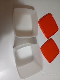 n 2 contenitori tupperware freezer 