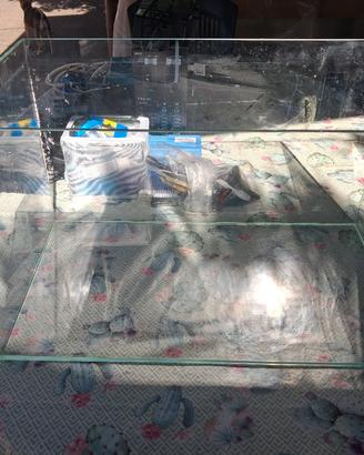 Articoli per acquario marino
