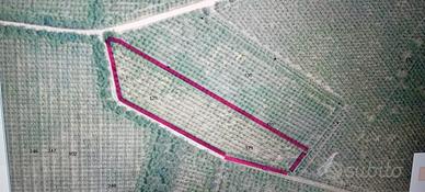 terreno agricolo