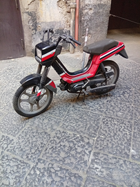 Califfone rizzato (Atala master)