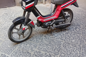 Califfone rizzato (Atala master)