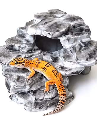 Tana grotta geco serpente rettili, spedisco
