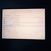 Ipad Pro 11” 2020 (seconda generazione)