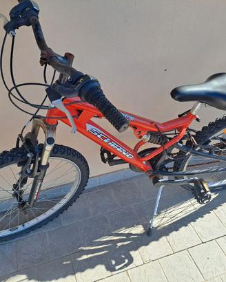 Bici bambino/ragazzo 24 pollici Schiano Warrior