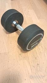 Manubrio Toorx 20 kg