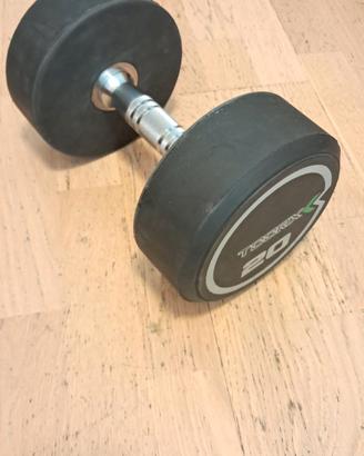 Manubrio Toorx 20 kg