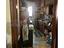 Immagine 29