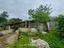 Immagine 7