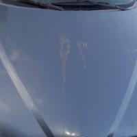 COFANO ANTERIORE ALFA ROMEO 156 Berlina Serie (932