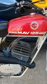 Moto Regolarità Epoca MAV 125 sachs 6 marce
