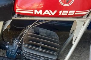 Moto Regolarità Epoca MAV 125 sachs 6 marce