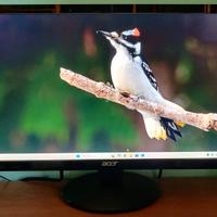 Monitor 21,5"