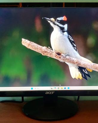 Monitor 21,5"