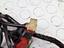 Immagine 26