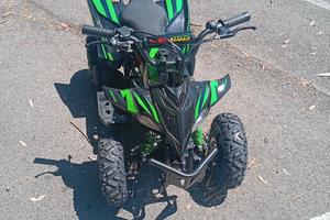 Mini quad
