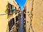 Immagine 7