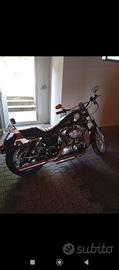Harley XL883