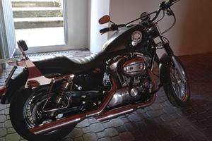 Harley XL883