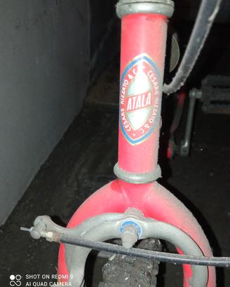 Bicicletta 