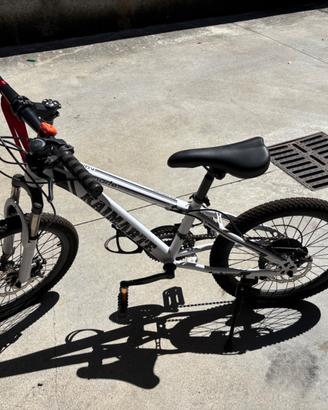 Mtb bambino 20”