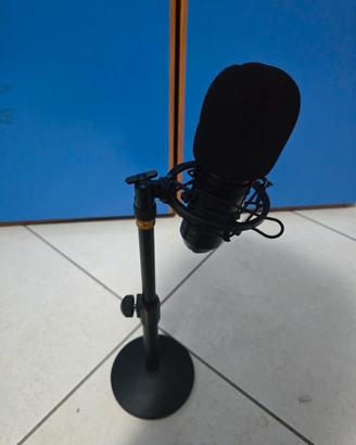 set microfono professionale a condensatore 