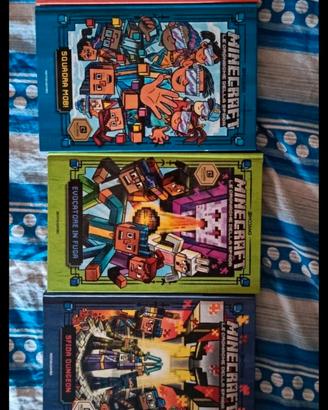 Minecraft lotto libri