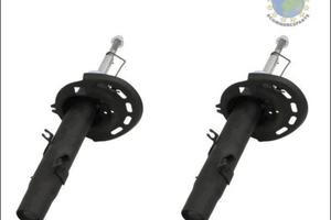 Ammortizzatori anteriori Citroen C3 diesel III S