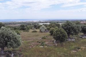 TER. AGRICOLO A POLIGNANO A MARE