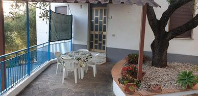 Estate 2026 a marina di camerota