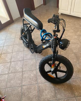 Bici elettrica