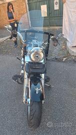 HARLEY-DAVIDSON FAT BOY BICOLORE - 2009