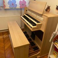 Organo (strumento musicale perfette condizioni)