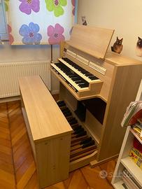 Organo (strumento musicale perfette condizioni)