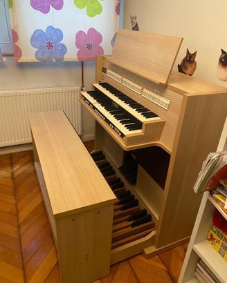 Organo (strumento musicale perfette condizioni)