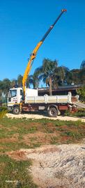 Camion Eurocargo con gru