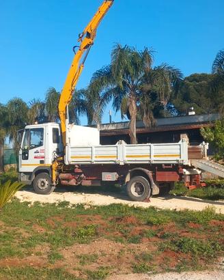 Camion Eurocargo con gru