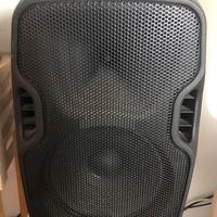 Cassa altoparlante da palco gemini 230v usata poch