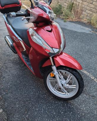 Sh 300 rosso 2020