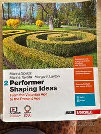 PERFORMER SHAPING IDEAS 2