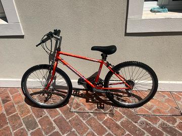 Bici mtb