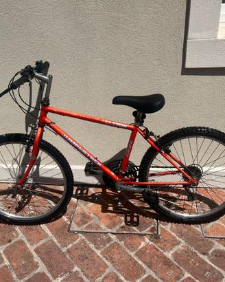 Bici mtb