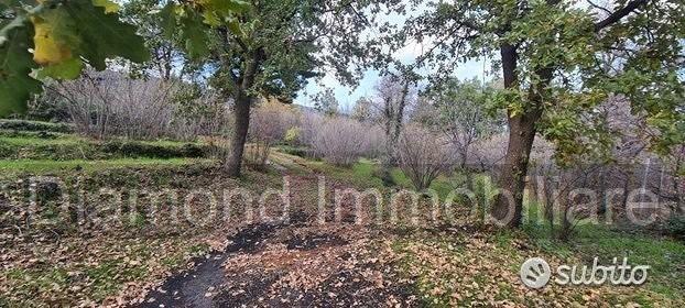 Terreno 10.000 mq con rustici a sant'alfio - Vista 5