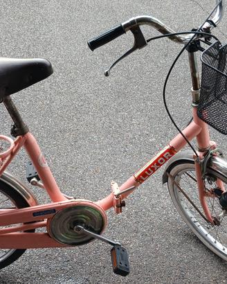 bici doniselli