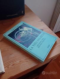 La vita segreta, O'Hagan