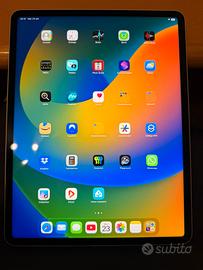 IPad Pro 12,9’ M2 + custodia + pencil